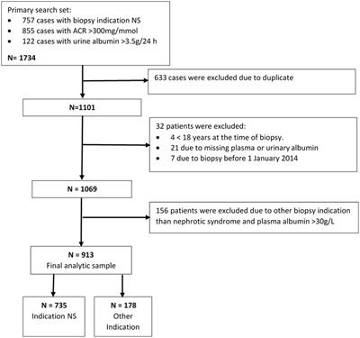 Causes of nephrotic syndrome in Sweden: The relevance of clinical presentation and demographics